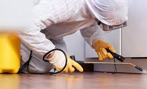 Best Termite Inspection and Treatment  in Succasunna, NJ